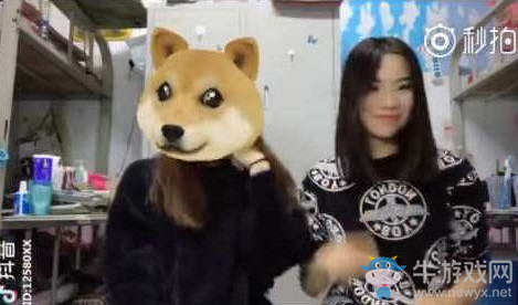 《抖音短視頻》甩狗頭在哪里
