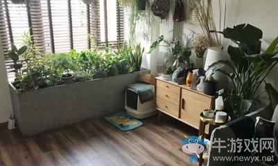 《好好住》注冊(cè)方法教程