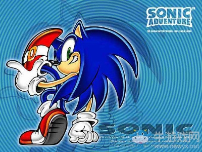 《索尼克大冒險》攻略大全介紹