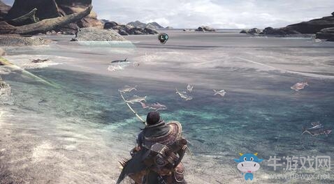 《怪物獵人：世界》魚類位置分布一覽