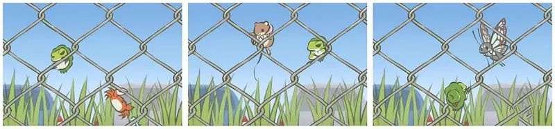 《旅行青蛙》明信片獲取方法大全