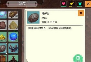 《創(chuàng)造與魔法》龜殼獲得方法