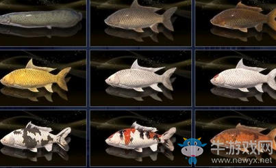 《最終幻想15》錦鯉類位置