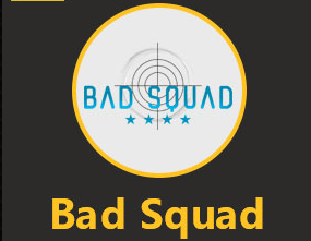 《終結(jié)者2審判日》TSL全球總決賽BadSquad戰(zhàn)隊介紹