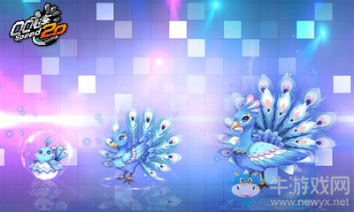 《QQ飛車》買迎春花得極品寵孔雀翎王介紹