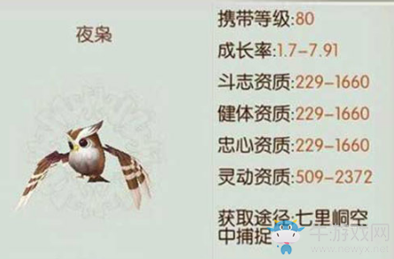 《誅仙手游》寵物夜梟介紹