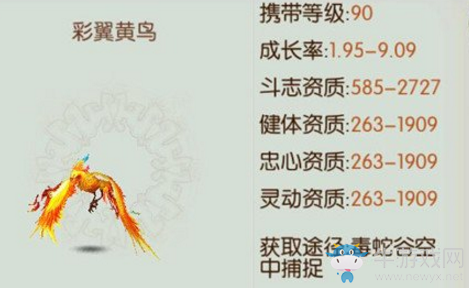 《誅仙手游》寵物彩翼黃鳥介紹