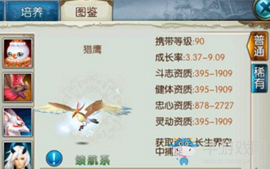 《誅仙手游》寵物獵鷹介紹