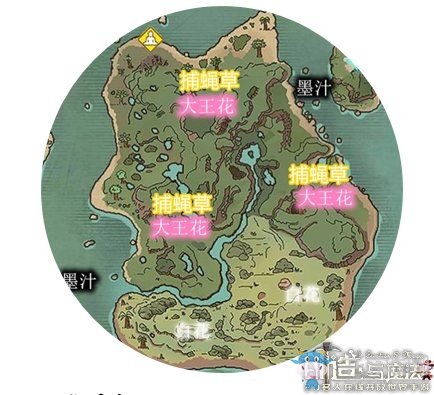 《創(chuàng)造與魔法》白金海灣資源大全