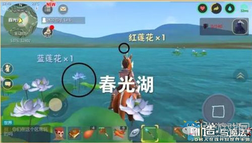 《創(chuàng)造與魔法》藍蓮花獲取方法