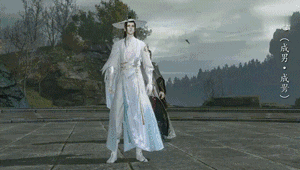 《天涯明月刀》手游心王靈犀引外觀介紹