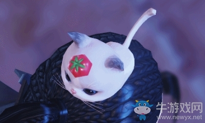 《楚留香》手游掛件貓趣·富貴兒一覽