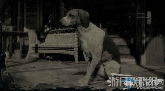 《荒野大镖客2》犬类位置及狩猎方法大全