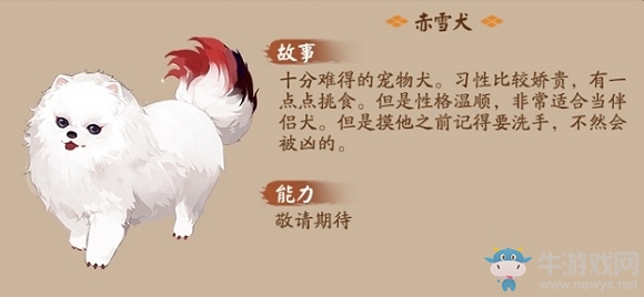 《陰陽師》守護的契約·流浪動物公益活動介紹