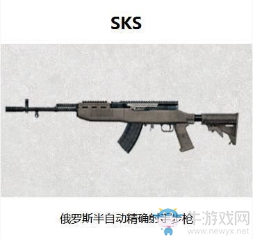 《和平精英》mini14和SKS對比分析