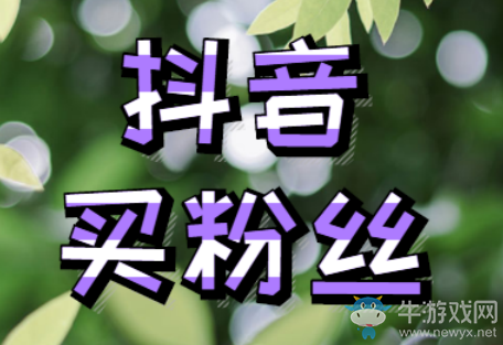 抖音在哪買粉絲,買粉絲一定要進的網站!據說隱藏著新功能!