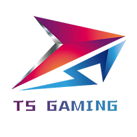 《王者榮耀》2019世界冠軍杯TS戰(zhàn)隊