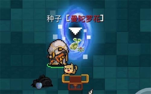 《元氣騎士》寵物曼陀羅花精靈強度一覽