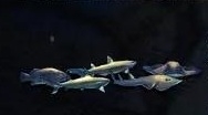 《少女前線》家具水族館介紹