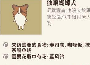 《動(dòng)物餐廳》獨(dú)眼蝴蝶犬解鎖條件一覽