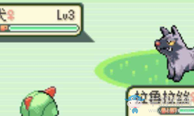 《口袋妖怪：漆黑的魅影》屬性相克介紹