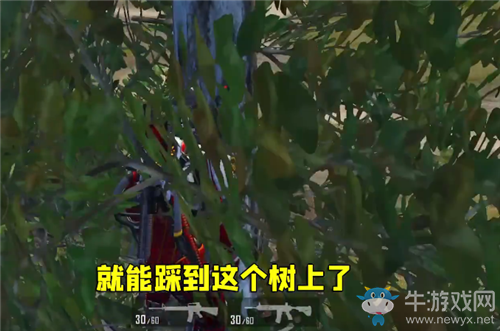 《和平精英》學(xué)校上樹陰人技巧