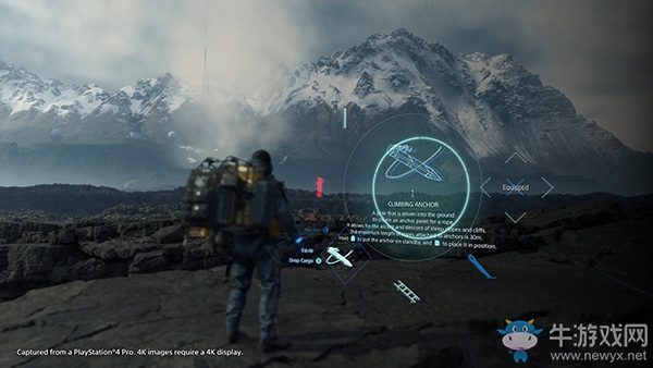 《死亡擱淺》名詞解釋大全