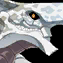 《FGO》人智統(tǒng)合真國(guó)鄰村配置