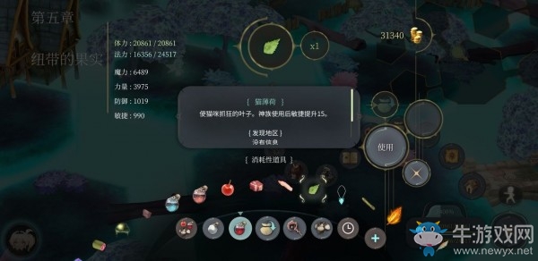 《魔女之泉4》貓薄荷獲取方式