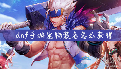 《DNF手游》寵物裝備怎么獲得