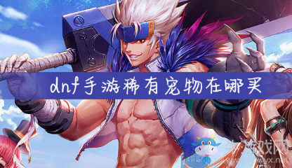 《DNF手游》稀有寵物在哪買