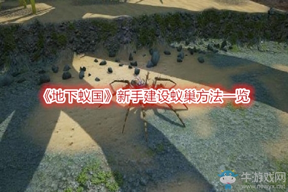 《地下蟻國》新手建設蟻巢方法一覽