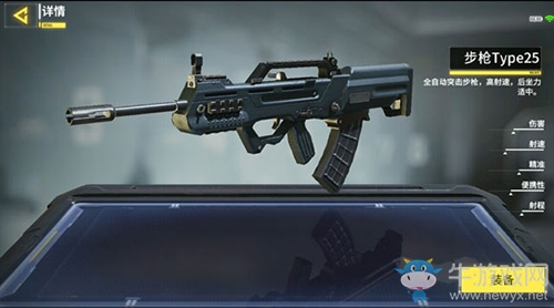 《使命召喚》手游Type25武器介紹