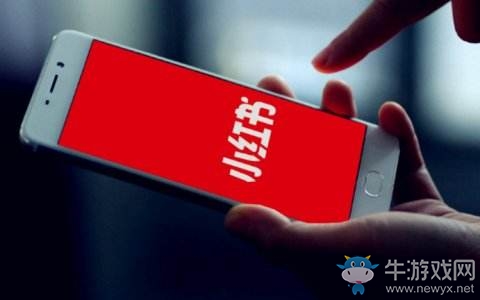 《小紅書》未能找到使用主機(jī)名的服務(wù)器是怎么回事