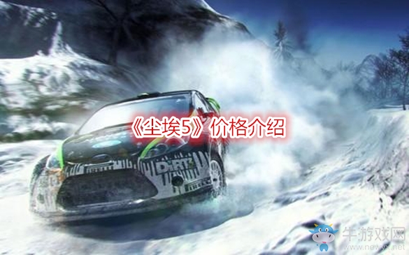 《塵埃5》價格介紹