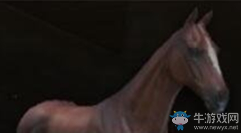 《騎馬與砍殺2》戰馬屬性介紹