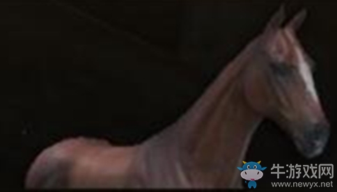 《騎馬與砍殺2》獵馬屬性介紹