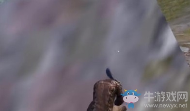 《和平精英》隱身巖石bug