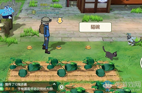 《小森生活》貓碗獲取方法攻略