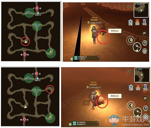 《小森生活》稀有蟲點(diǎn)一覽