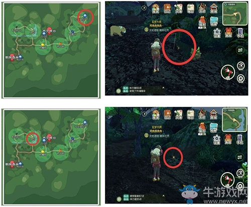 《小森生活》稀有蟲點(diǎn)一覽
