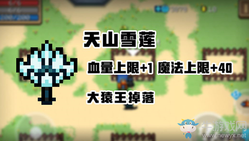 《元氣騎士》天山雪蓮獲取方法攻略