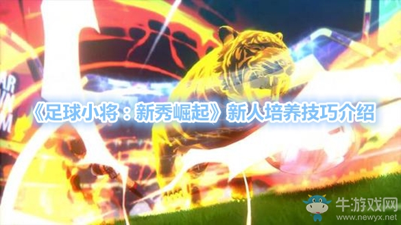 《足球小將：新秀崛起》新人培養技巧介紹