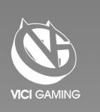 《王者榮耀》2020KPL秋季賽VG戰隊介紹