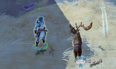 《魔獸世界》9.0寵物世界任務瑟尼亞攻略