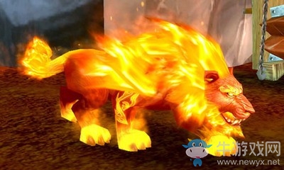 《魔獸世界》德魯伊火貓外觀如何獲得