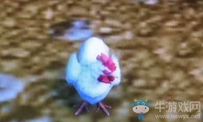 《魔獸世界》小寵物西部荒野小雞獲取攻略