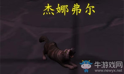《魔獸世界》解謎寵物杰娜弗爾獲取攻略
