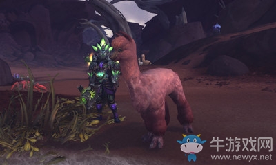 《魔獸世界》獵人寵物粉色羊駝如何馴服