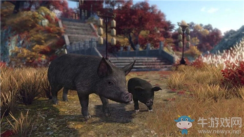 《逆水寒》味央養豬大比拼活動介紹